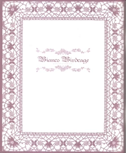 Page 3 of Bianco Birdcage