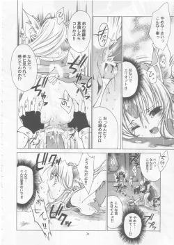 Page 29 of Maboroshi