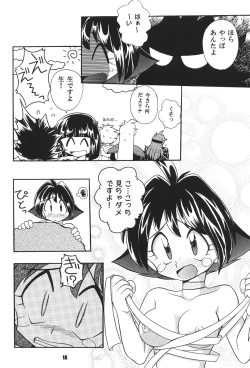 Page 17 of Yamainu  Volume.4