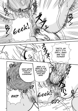 Page 19 of Bream Club