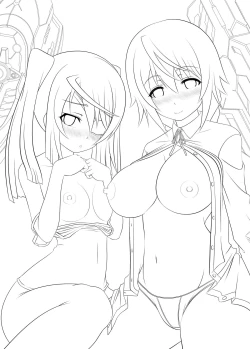 Page 14 of IS2: Ichika☆Soudatsusen!! 2