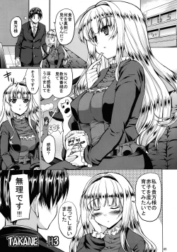 Page 4 of Takane H3