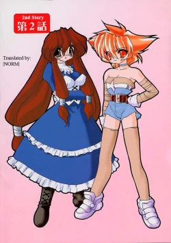 Page 22 of Alchemy no ShizukuVolume 01