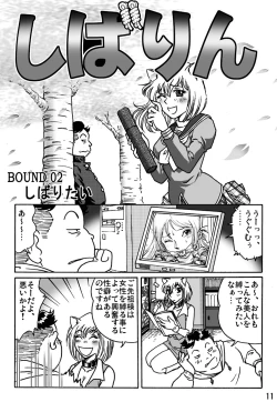Page 11 of Shibarin
