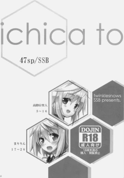 Page 3 of ichica to