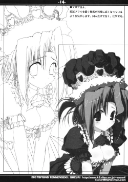 Page 14 of HAYATE IN WONDERLAND