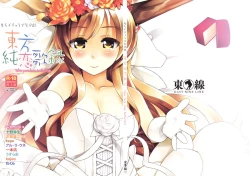 Page 71 of Touhou Junrenkaroku