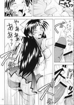 Page 17 of Project Sailor