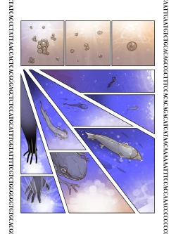 Page 12 of PRINCESS COMET : G