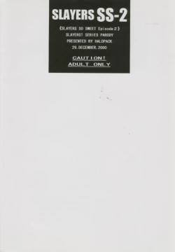 Page 23 of SLAYERS SS-2