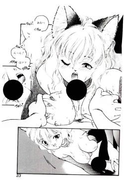 Page 23 of Jiken C’