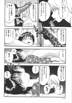 Page 116 of Miserareta Karyuudo