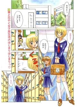 Page 3 of COMIC Papipo Gaiden 1995-11 Vol.17