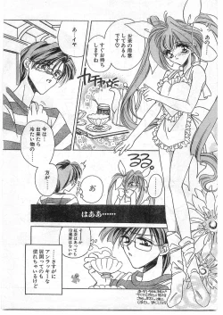 Page 13 of COMIC Papipo Gaiden 1995-09 Vol.16
