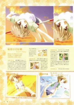 Page 20 of Canvas Visual Fan Book