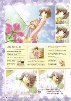 Page 26 of Canvas Visual Fan Book