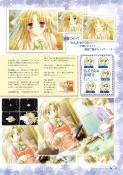 Page 35 of Canvas Visual Fan Book