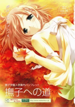 Page 80 of Canvas Visual Fan Book