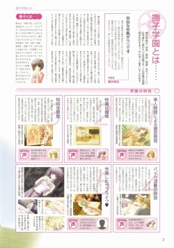 Page 81 of Canvas Visual Fan Book