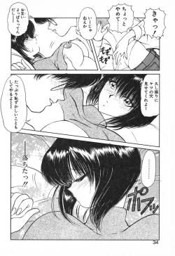 Page 33 of Stampede Reimia