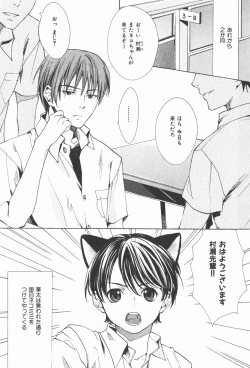 Page 89 of Oidemase Shinkon-san