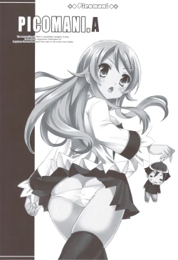 Page 3 of PICOMANI.A