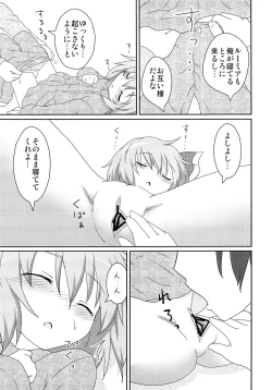 Page 28 of Nichijou Seikatsu