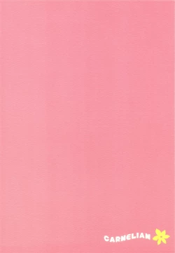 Page 24 of GIVE IT UP TO ME