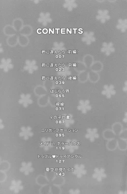 Page 4 of Kimi ni Aetara