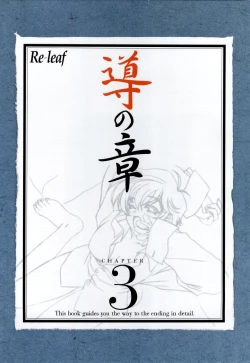 Page 80 of Re-leaf Kouryaku & Settei Shiryoushuu