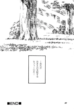 Page 41 of Aniparo Miki 1