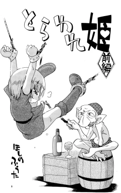 Page 3 of Toraware Hime Zenpen