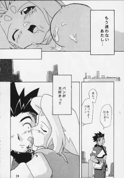 Page 21 of Zoids No Hon