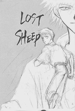 Page 2 of Lost Sheep