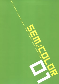 Page 12 of SEM;COLOR 01