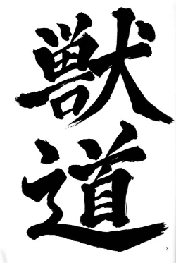 Page 2 of Kemonomichi