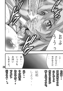 Page 23 of Nia no Drill tte nandesu ka?