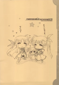 Page 32 of NANOHA-Concept! 3
