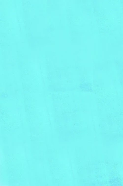 Page 2 of "Shiroaki" Taizen