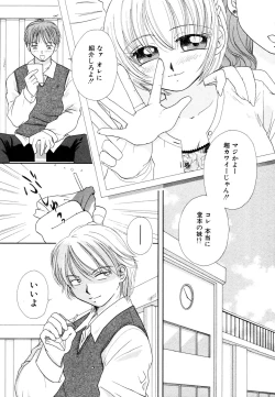 Page 145 of Himitsu no Tobira Vol.8 | The Secret Door Vol.8