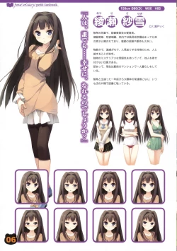 Page 5 of your diary petit fanbook