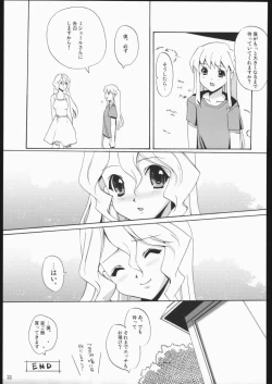 Page 32 of Internal ERROR