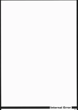 Page 3 of Internal ERROR
