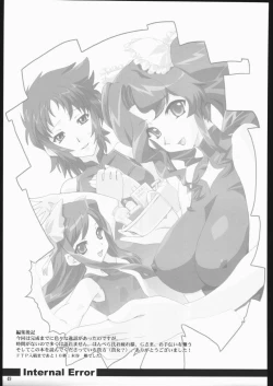 Page 48 of Internal ERROR