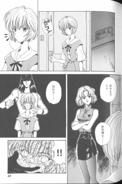 Page 43 of Project E 02