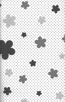 Page 3 of Shiramochi