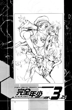 Page 2 of Kanzen Nenshou Ver. 3.15