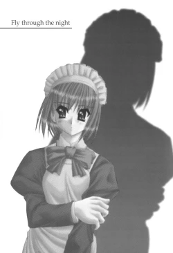 Page 16 of Fly through the night