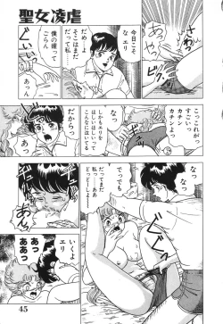 Page 45 of Seijo Ryougyaku