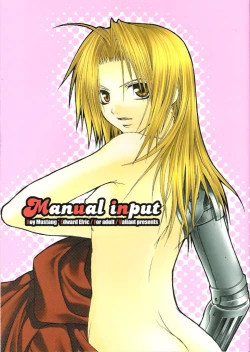 Page 2 of Manual Input